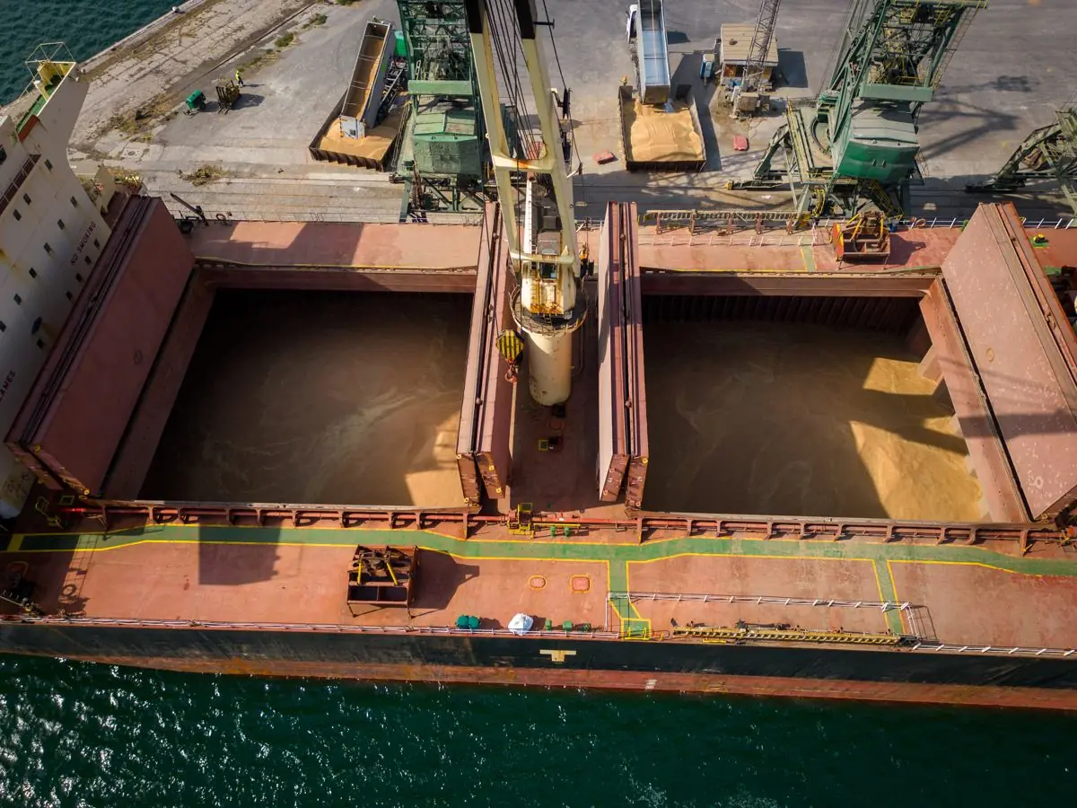 Bulk cargo loading at seaport